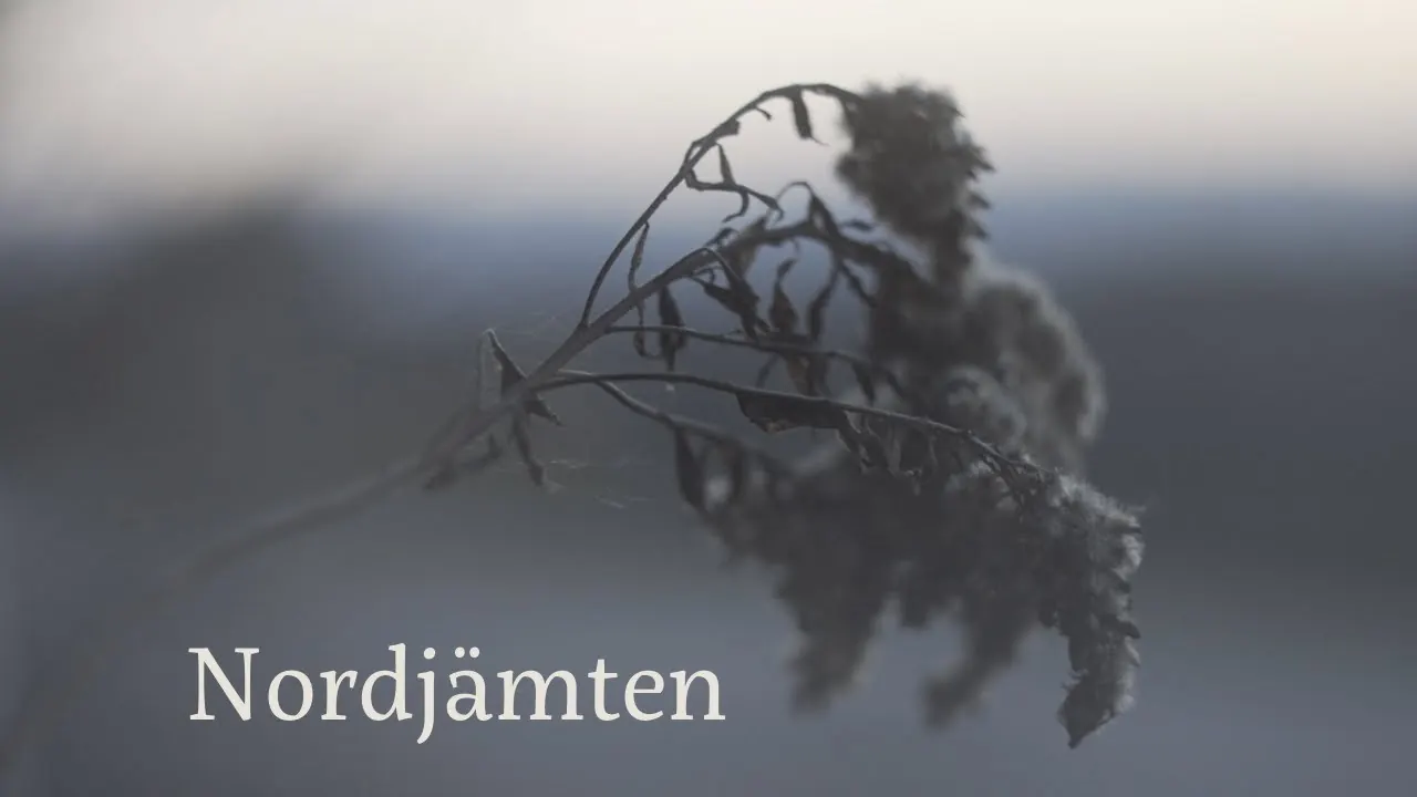 Video thumbnail: Nordjämten – Tim & Jonnic